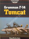 Grumman F-14 Tomcat  by RICHARDSON, Doug 